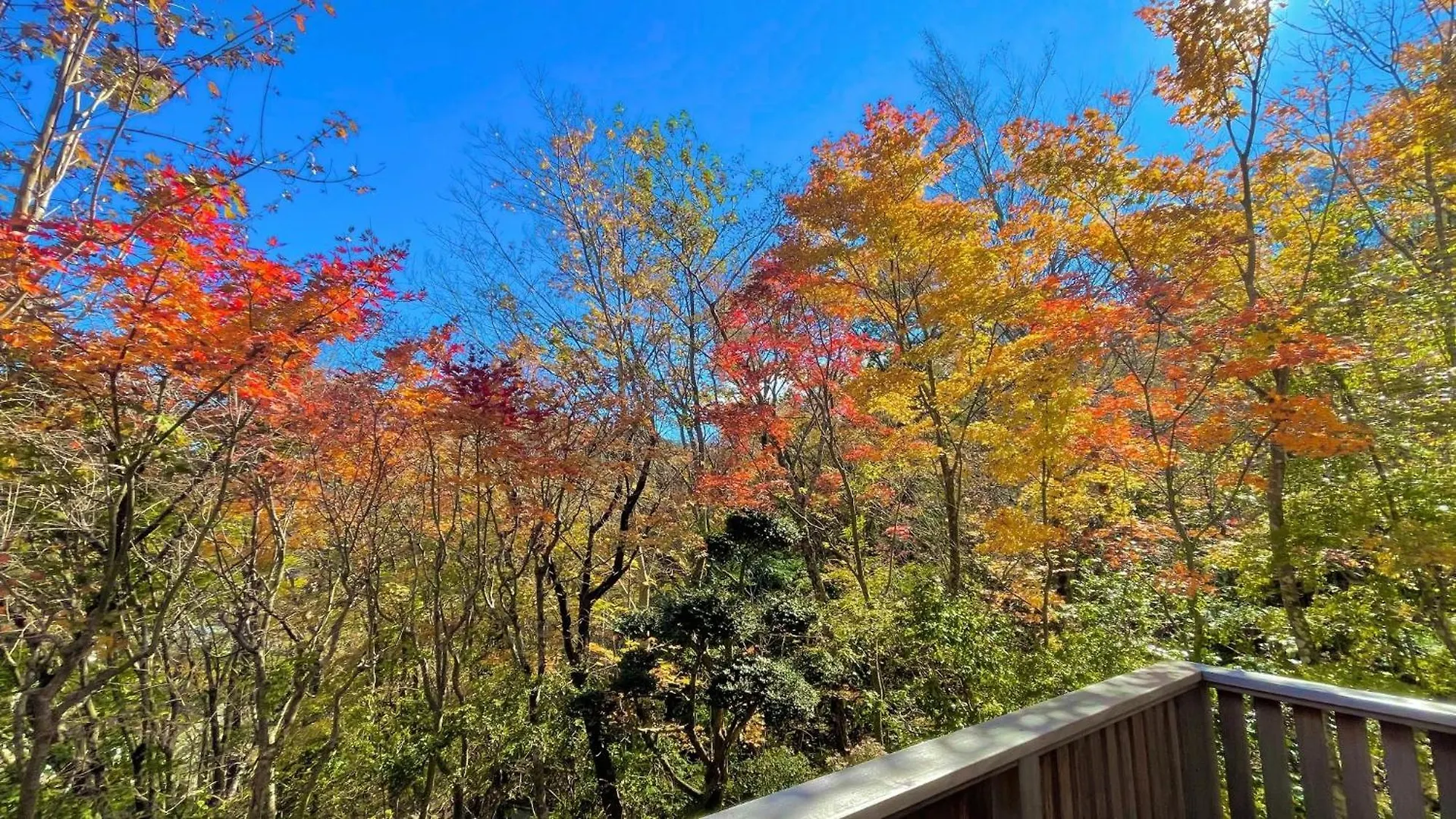 Holiday home Miyabi-Kowakudani - Vacation Stay 67101V Ashinoyu Japan