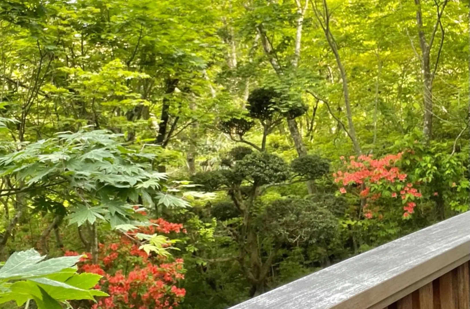 Miyabi-Kowakudani - Vacation Stay 67101V Ashinoyu